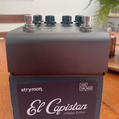 Strymon El Capistan V2 2022 - Present - Grey image 4