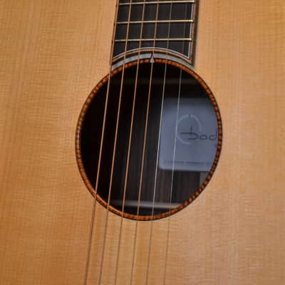 Baden - American Made TJ Baden Guitar Madagascar image 14