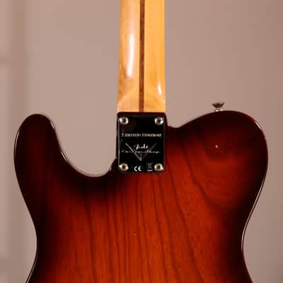 Fender Custom Shop 1950 Telecaster Thinline Journeyman Relic - Maple Fingerboard, Aged Violin Burst image 13