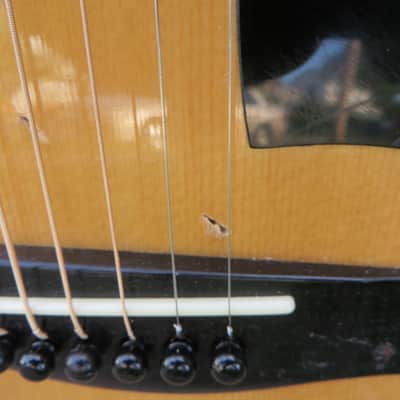 Yamaha FS-310 Natural Concert Acoustic Guitar image 7