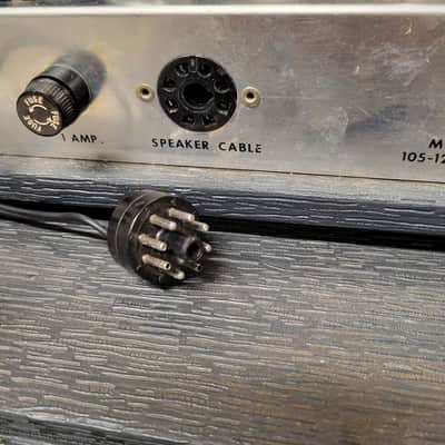 1965 Danelectro DM-25 25-Watt 1x12" Piggyback Guitar Amp image 18