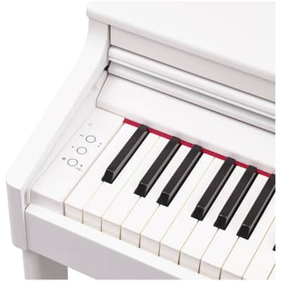 Roland RP701 Digital Piano, White image 5