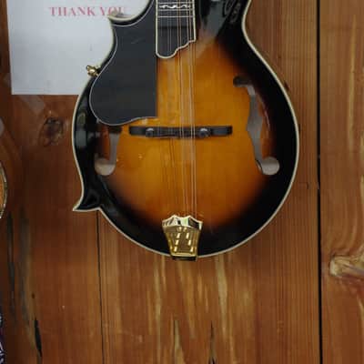 Gold Tone Mastertone GM-70+ LEFTY F-style mandolin - NEW Solid Wood w/ CASE - B-stock image 4