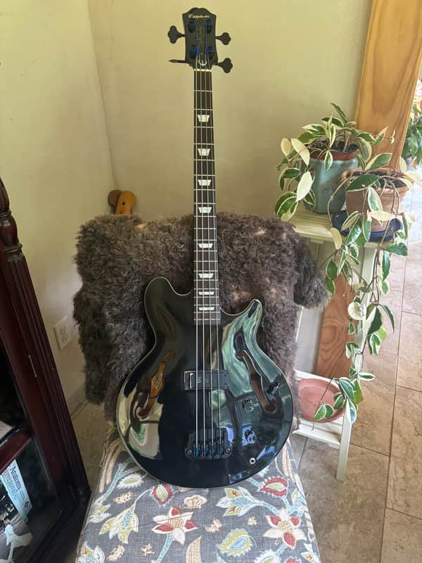 Epiphone Jack Casady Signature Bass with Laurel Fretboard 2020 image 1