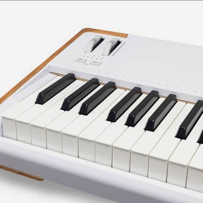 Arturia Astrolab 88 - White image 6