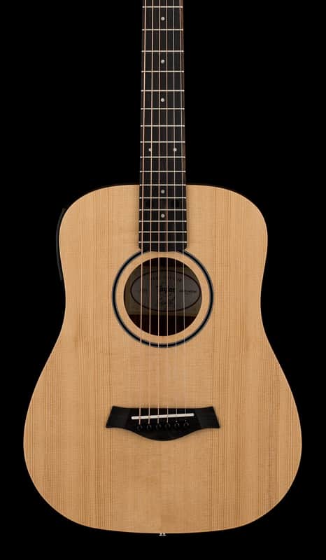 Taylor Baby Taylor (BT1e) #46040 (Demonstration Model) image 1