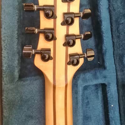 HK Wolf Natural 7 string guitar with case image 5
