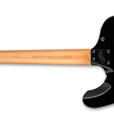 ESP LTD Phoenix-204DX Electric Guitar in Black Burst B-Stock image 2