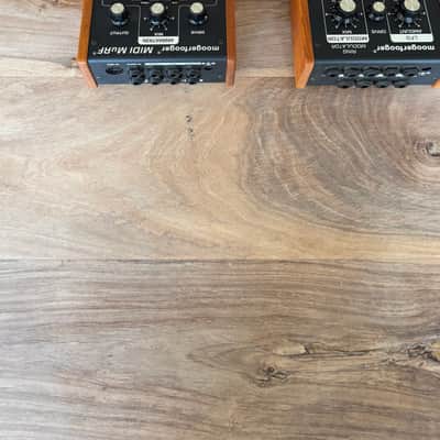 Moog MF 101 102 103 104 105 107 108 CP 251 Set Synthesizer synth vintage rare image 12