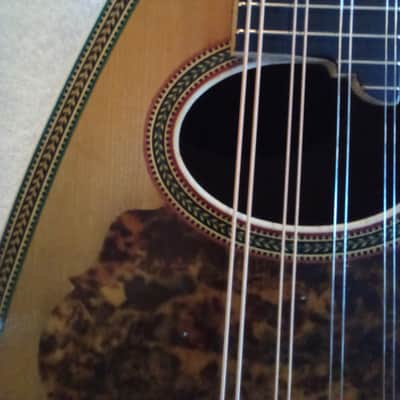 Washburn Model 130 1895-1900 - Gloss image 16