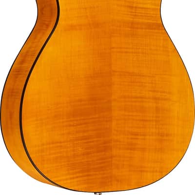 Epiphone Dobro Hound Dog Deluxe Round Neck Resonator Acoustic Guitar, Flame Maple Top, Vintage Brown image 3