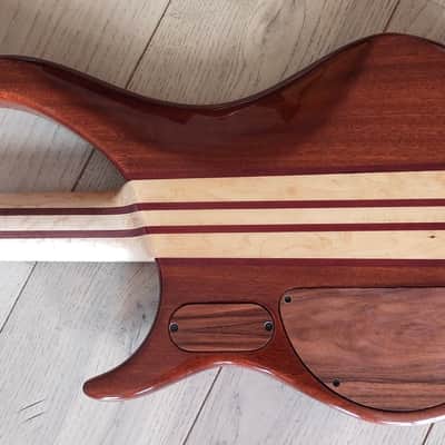 Peavey CIRRUS 4 USA CUSTOM 2005 Tiger image 4