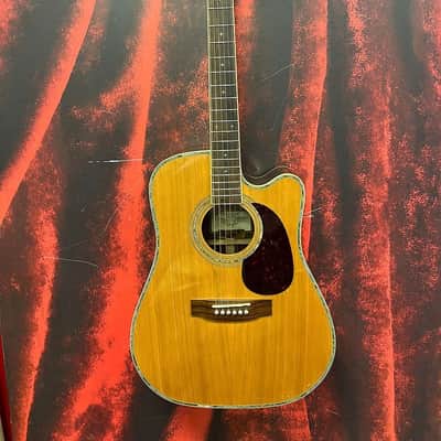 Zager ZAD 80CE Acoustic Guitar (Houston, TX) image 2