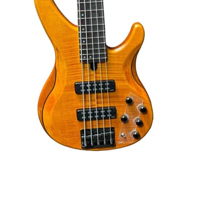 Yamaha TRBX 605FM 5 Matte Amber / Rosewood *ON ORDER ETA JAN 2026 image 3