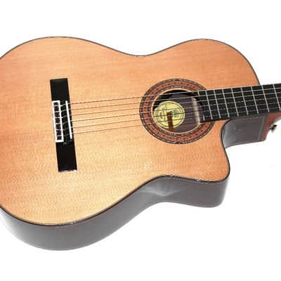 Guild GN-5 Classical Nylon-String Acoustic Electric Cutaway Guitar w/ Case image 2