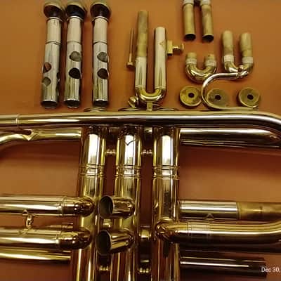 York Senator Cornet image 6