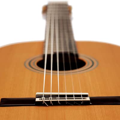 Ortega R20GWN Traditional Series Solid Cedar Top Mahogany Neck Nylon 6-String Classical Acoustic Guitar w/Gig Bag image 13
