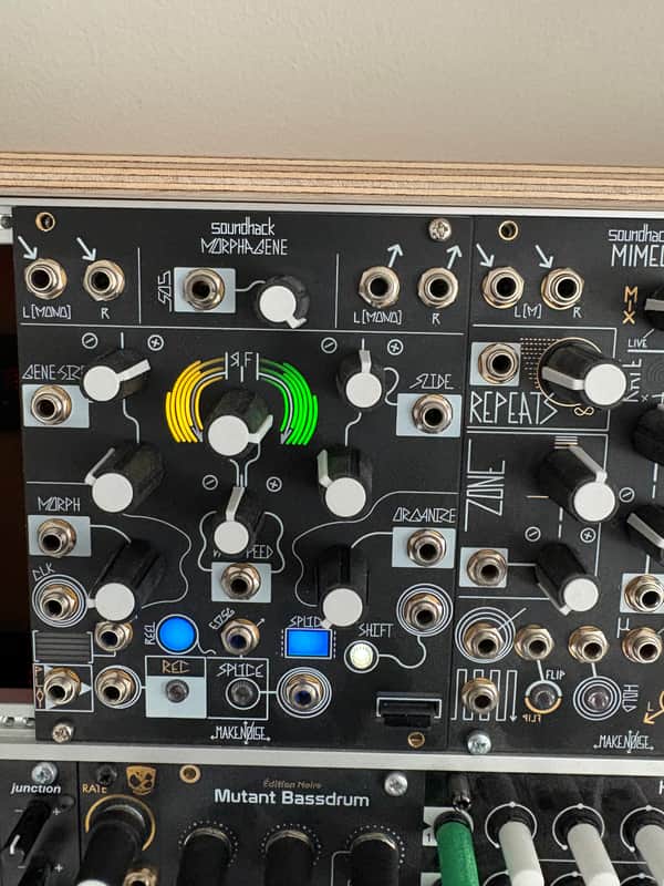 Make Noise Morphagene Module | Reverb Canada