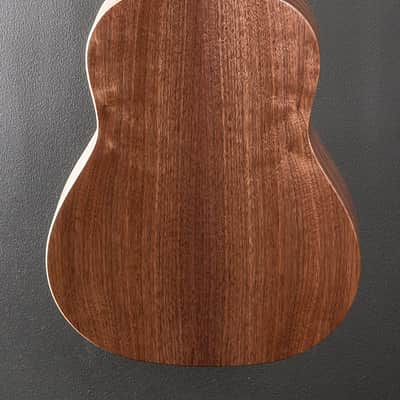 Taylor American Dream AD17E-SB image 9