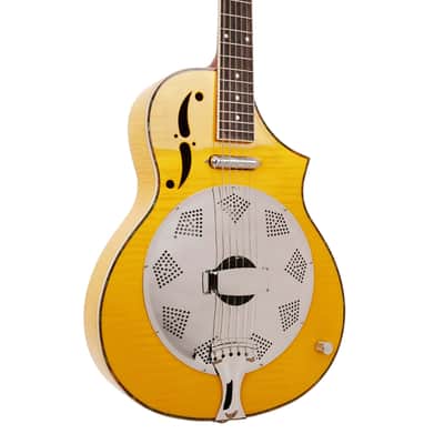 Mojo: Round-neck Resonator Guitar with Pickup and Case image 3