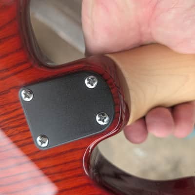 PRS SE Special - Swamp Ash image 16