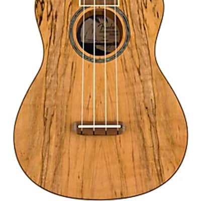Fender Zuma Exotic Concert Ukulele, Walnut Fingerboard, Spalted Maple image 1