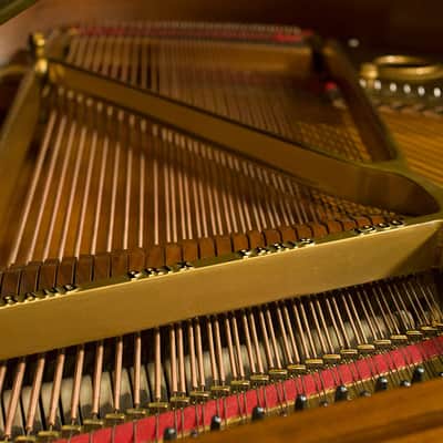 Baldwin Baby Grand Piano - Model M - Made in USA 1963 - FREE Delivery in USA image 9