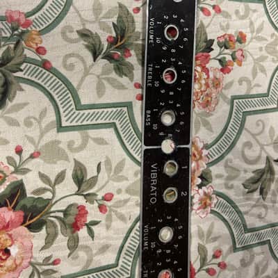 Fender  Twin Amp  1960-61 - Brown Face Plate extra holes Wall Art? image 5