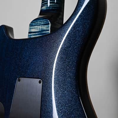 PRS Custom 24-08 Limited Edition Private Stock Color- Sprayer's Choice 2026 (0423781) image 17