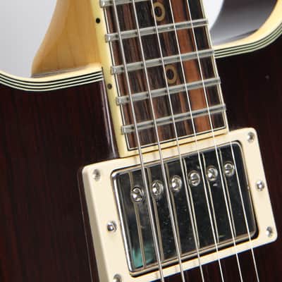 Washburn Falcon Model C 1982 - Walnut image 5
