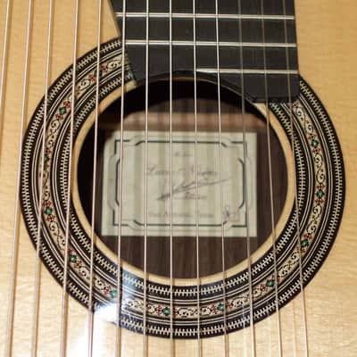 LUCIO NÚÑEZ Sophia 13-String Classical Harp Guitar, Spruce/Ziricote, w/Custom Case, Extremely Rare!! image 17