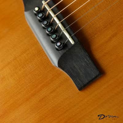 2002 Larrivee LV-10 Custom, Indian Rosewood/Cedar image 5