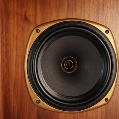 Tannoy Stirling TW Speakers – Restored – 1-Year Warranty image 11