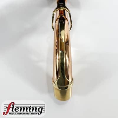 Yanagisawa AWO20 Elite Model Bronze Alto Saxophone imagen 20
