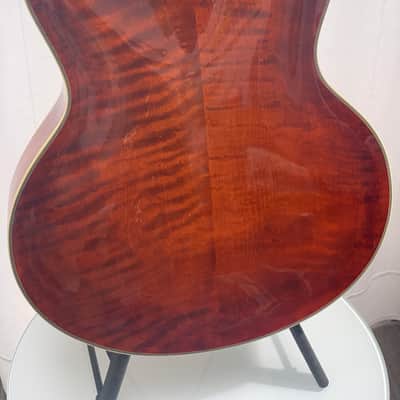 Eastman AR810CE – 2010 image 16