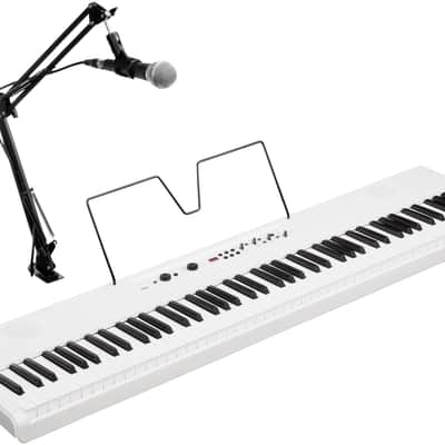 Korg Liano Live image 2