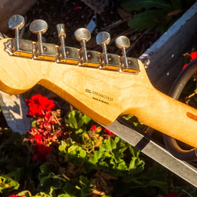 2017 Fender Classic Player '50s Stratocaster, Shoreline Gold W/ TORTOISE PICKGUARD! image 15