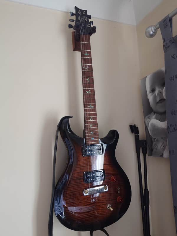 PRS Paul's Guitar SE