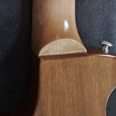 Gibson Les Paul Special Tribute Humbucker 2020 - Walnut Satin Husk, Body, and Neck Project image 9
