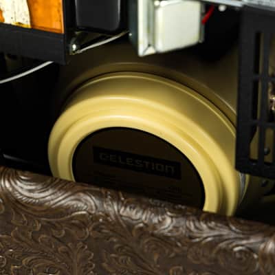 Mesa Boogie Fillmore 50 Limited Edition 2x10 Combo - Country Western Vinyl / Smoke Copper Grille image 8