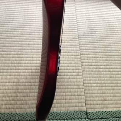 GrassRoots Telecaster Deluxe G-TE45R/H image 4