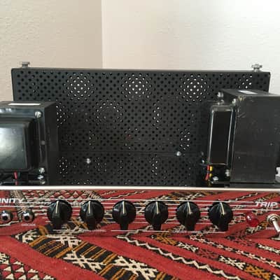 Trinity TripTop (Ampeg B-15 Clone) image 6