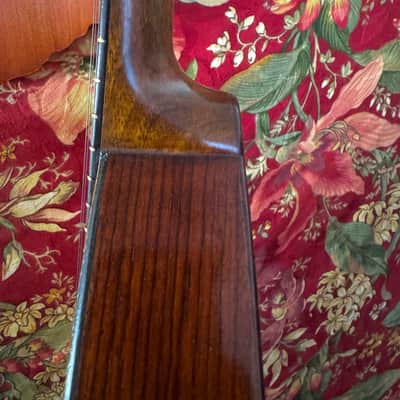 1920 George La Foley Flat Back Mandolin with Mother Of Pearl Scratchplate image 3