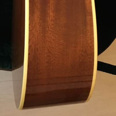 Larson Bros Stetson Style 1 ES made by Furch image 6