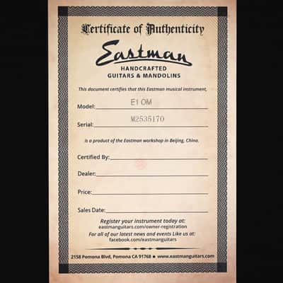 Eastman E1 OM Acoustic Guitar (M2535170) image 6