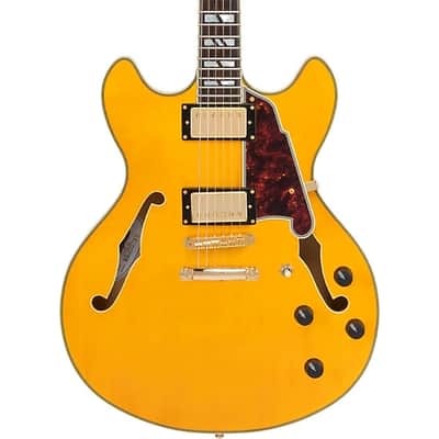 D'Angelico Excel DC Double-Cutaway Semi-Hollow Electric Guitar, Amber image 10