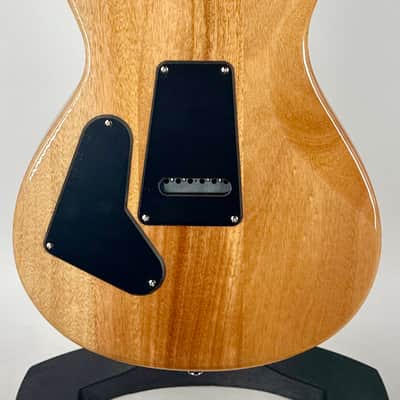 PRS Paul Reed Smith PRS SE Custom 24 Ltd Ed Exotic Burled Ash - Lake Blue Serial#:CTIG101494 image 7