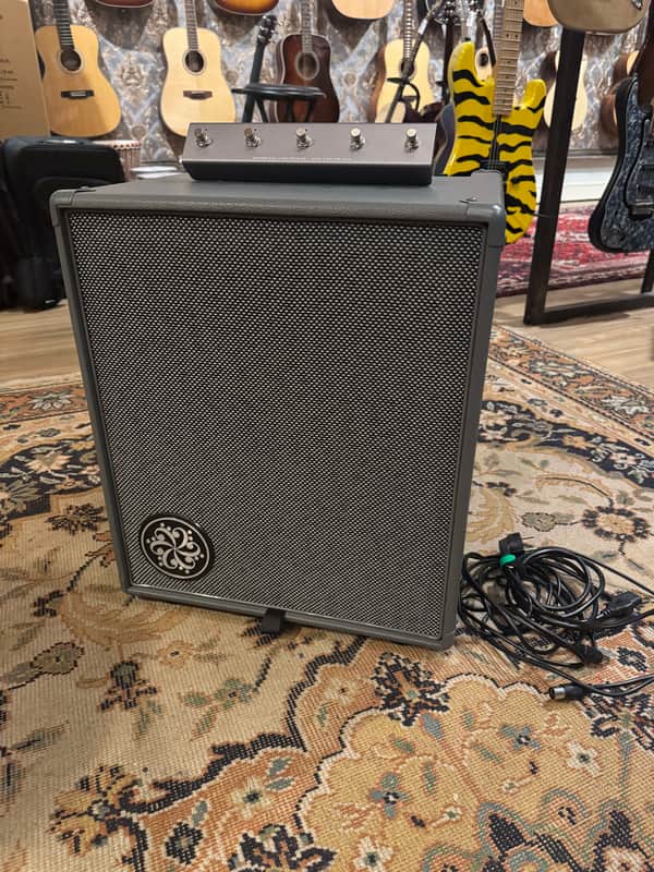 Darkglass Electronics Infinity 500 Combo 210 image 1