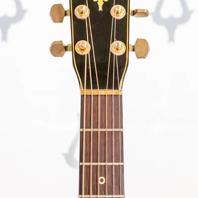 Daion Year Series '79 Black Acoustic Six String image 14
