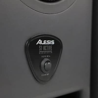 Alesis S1 Active Powered Subwoofer Sub Pair w/ Canare XLR-TRS 1/4" Cables #34937 image 14